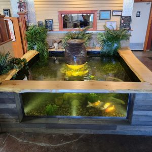 Indoor Koi Pond custom indoor water feature design
