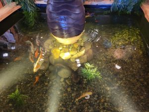 koi fish indoor customw water feature in detroit metro area