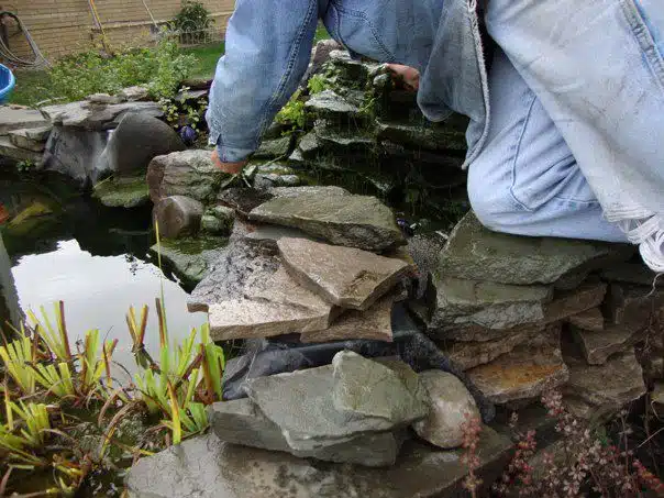 How to Seal Leaks in Pond: Easy Fixes for Lasting Results