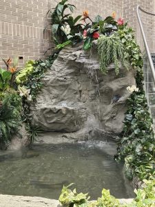 commercial koi pond with faux rock in detroit area