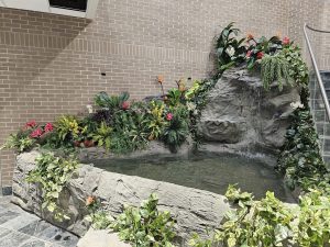 custom koi pond built by pondering waters in detroit area