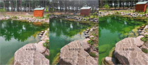 Recreation Ponds by Pondering Waters Example of water clarity after a few days