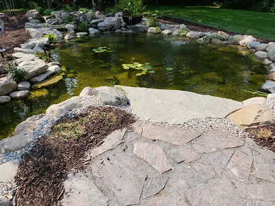 Beautiful backyard landscape water feature with pond and waterfall